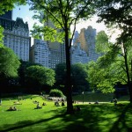 central-park-wallpaper-new-york-central-park-hd-wallpaper-desktop-xgurpvbs